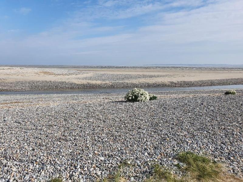 Gite Baie De Somme Кайо-сюр-Мер Екстериор снимка